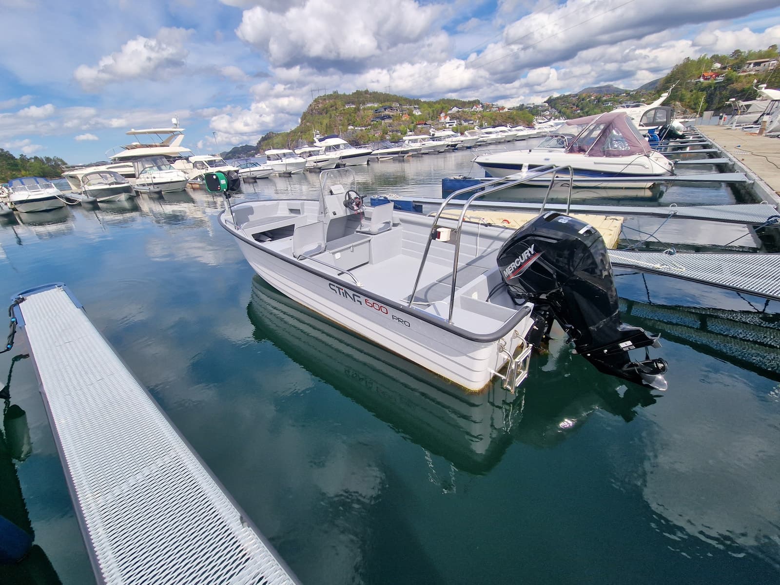 BM-148 Sting 600 Pro m Mercury 80 hk. Inkl teinehaler. Klar for fisketur. - thumbnail 11