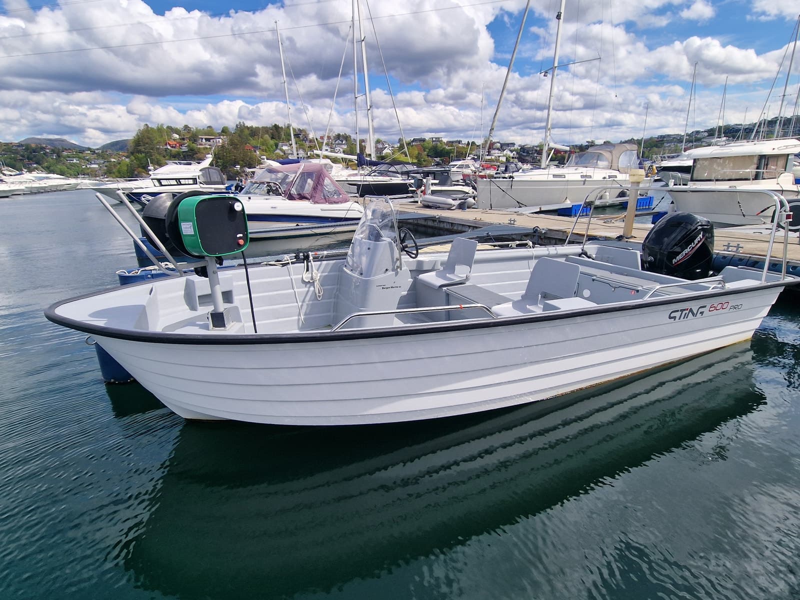 BM-148 Sting 600 Pro m Mercury 80 hk. Inkl teinehaler. Klar for fisketur.