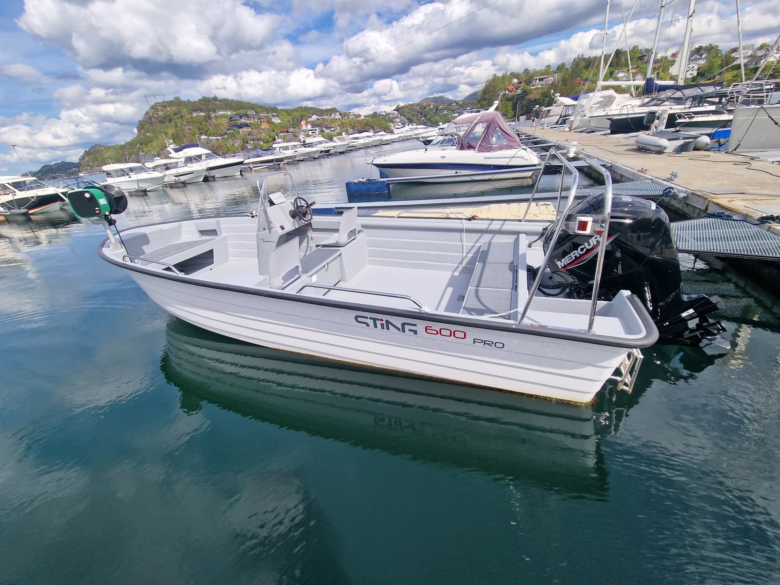 BM-148 Sting 600 Pro m Mercury 80 hk. Inkl teinehaler. Klar for fisketur. - thumbnail 12